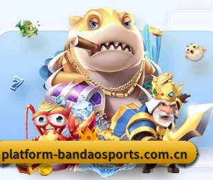 半岛体育主页 APP