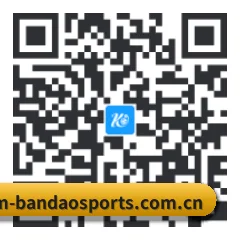 iOS 苹果版 二维码